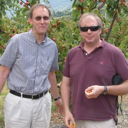 Scrumping apricots in the Helvetic zone of the French Alps, 2009