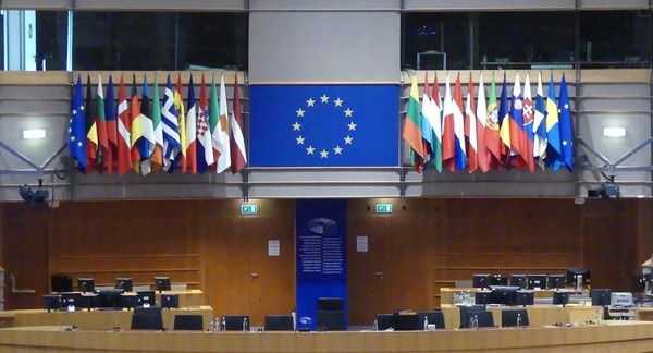 Hemicycle EU Parliament with member flags close up at rear 2..JPG