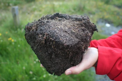 Aggregate from an Irish peat soil (Credit: Antonio Jordán, distributed via imaggeo.egu.eu)