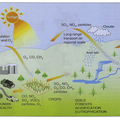 policy/relatedpaper/2025/01/15/f143f19e-f6a5-4346-8923-b19a111a6956.png